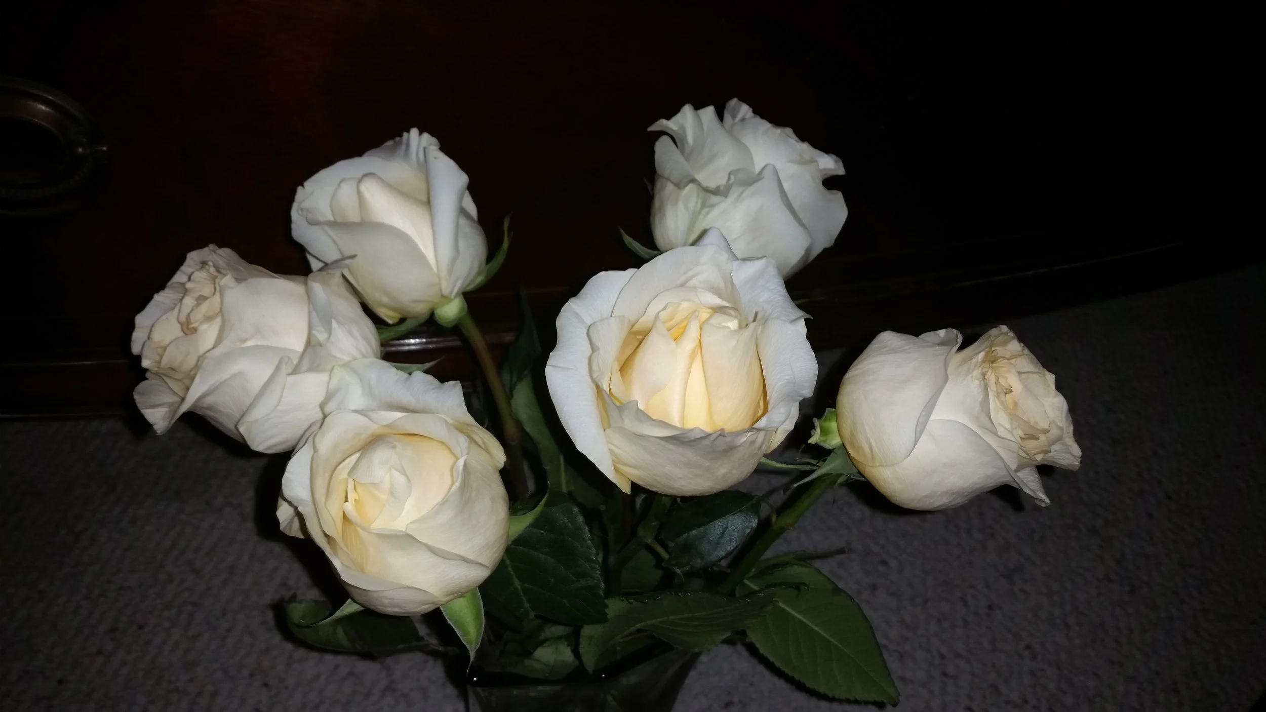 White Roses