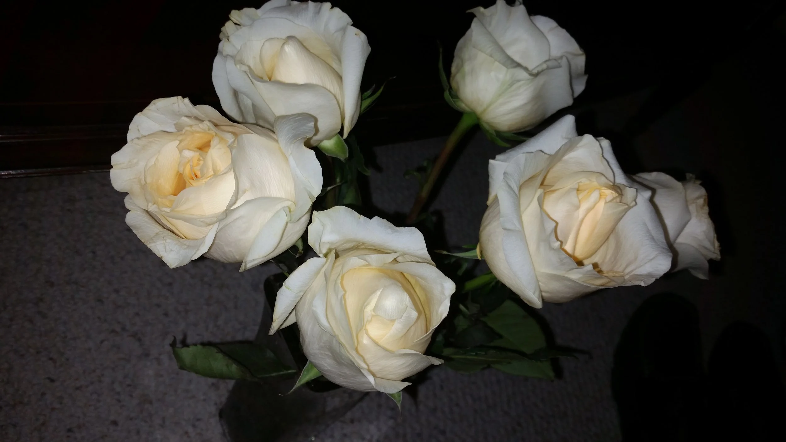 20150923_003416.jpg