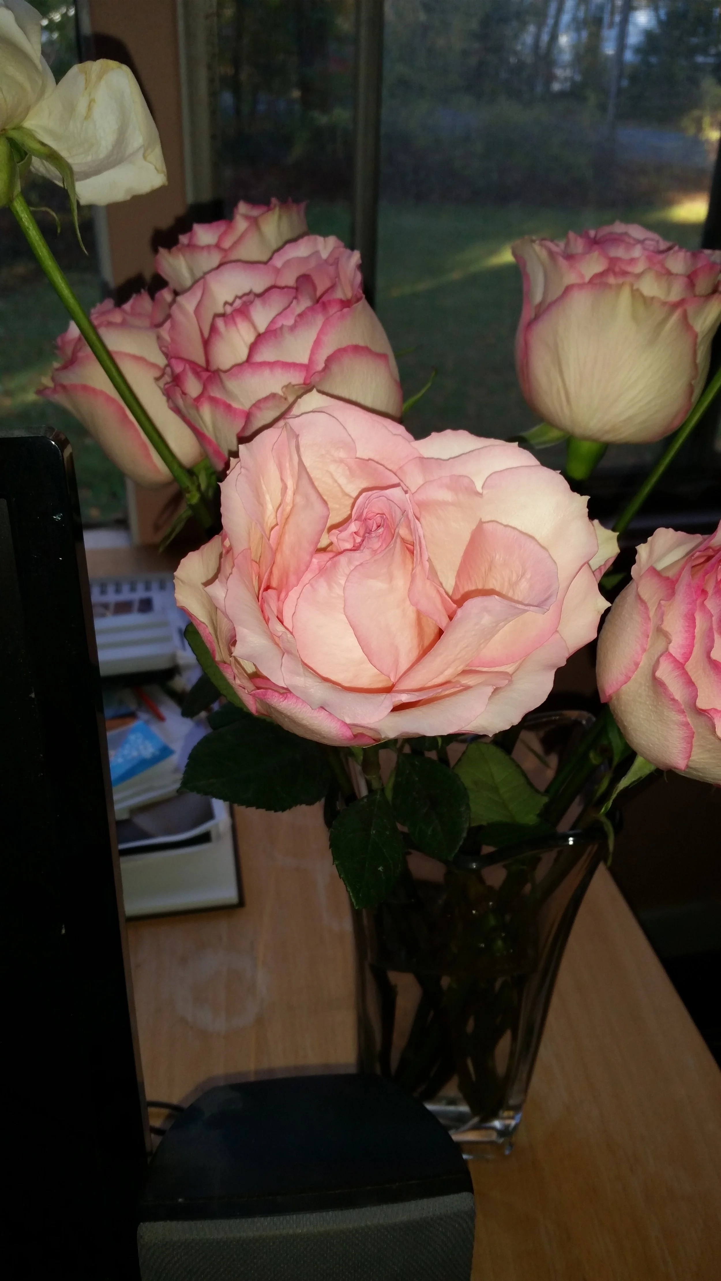 20161107_075746.jpg