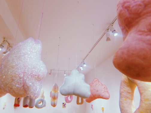 Image captured by Hannah Malina.