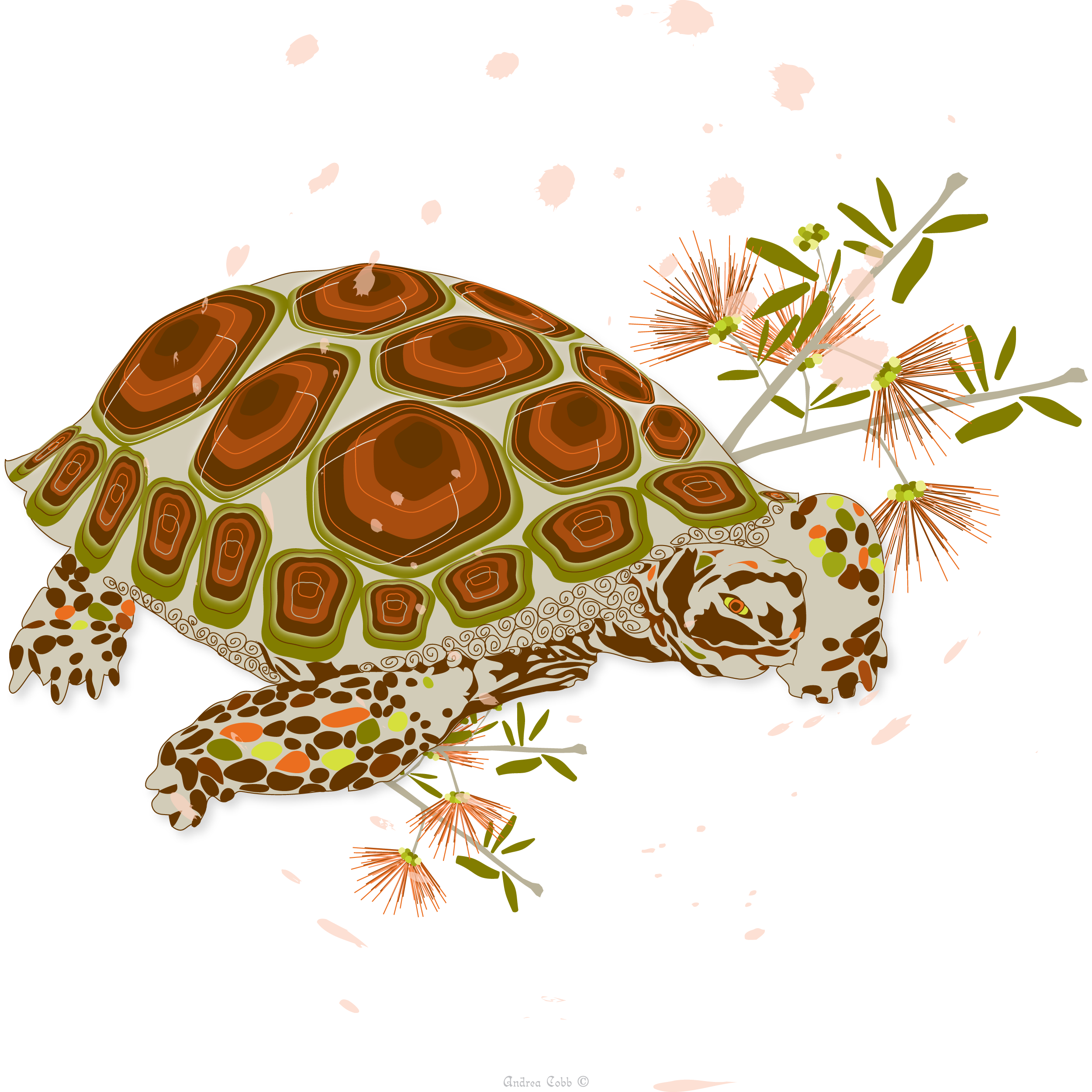 Desert Tortoise