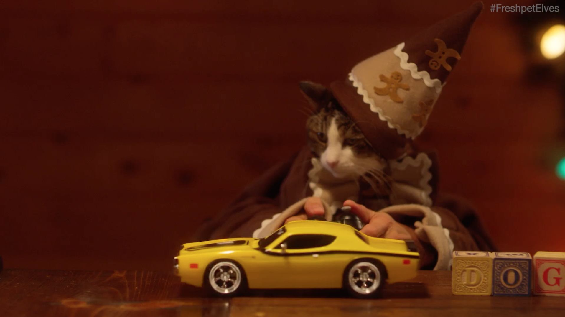 Screen Shot 2018-07-08 at 9.26.17 PM.png