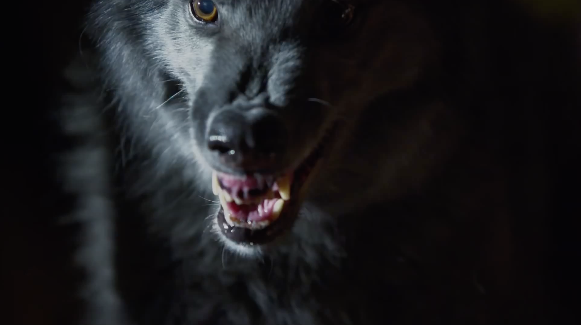 Screen Shot 2018-07-12 at 12.24.56 AM.png