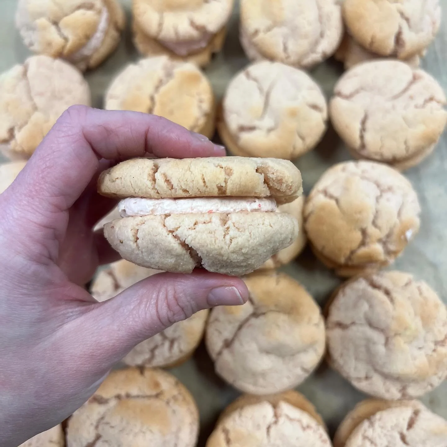 Shop closed Thursday 
Sorry for the inconvenience! We are a busy team with a well deserved vacation, medical appointments and meetings taking our team out of staffing commission today. We hate to do it but sometimes life doesn’t give us a ch