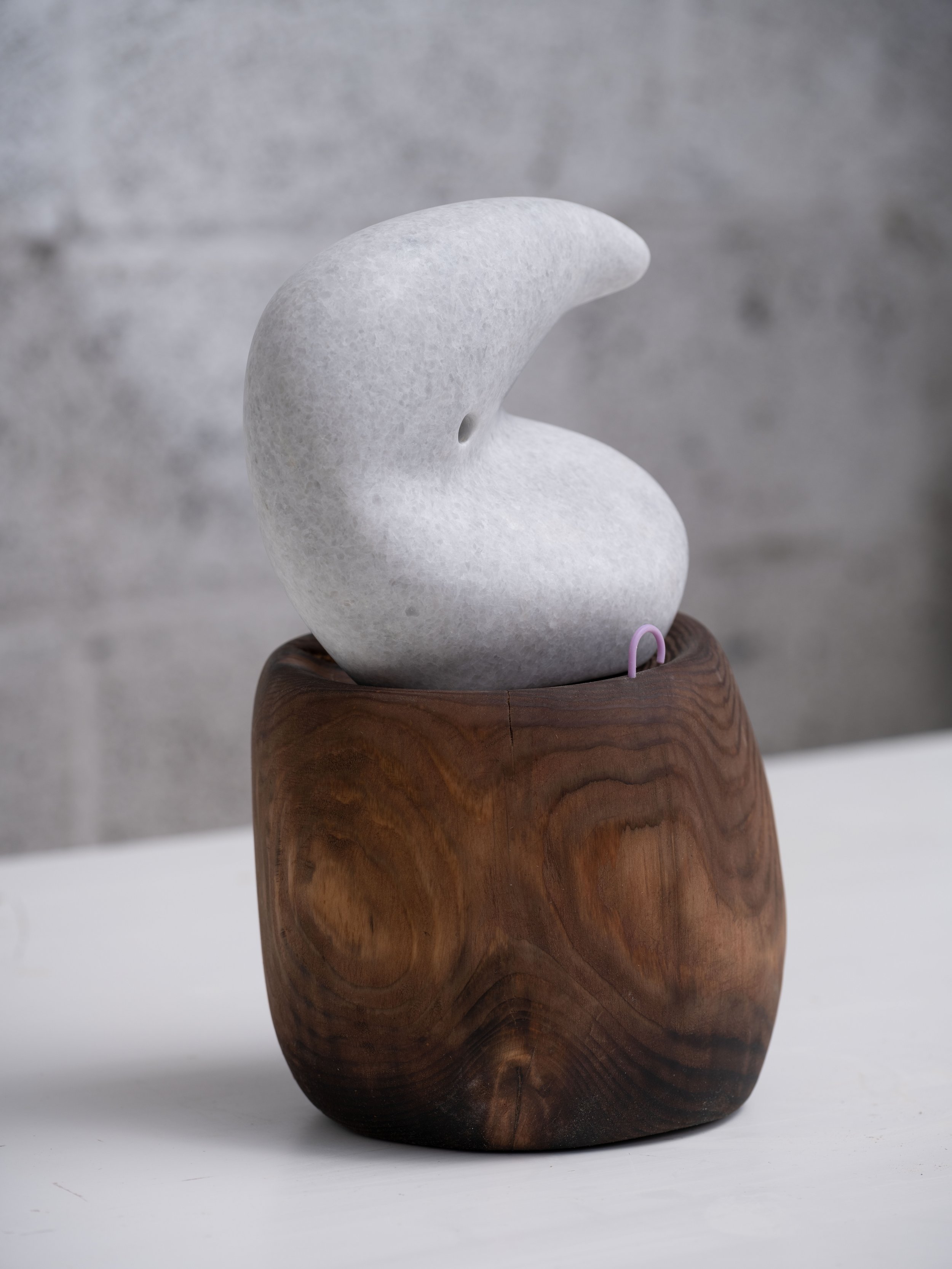   Dove VII , 2023 Marble, wood, and found objects 13 x 7 x 6 inches 