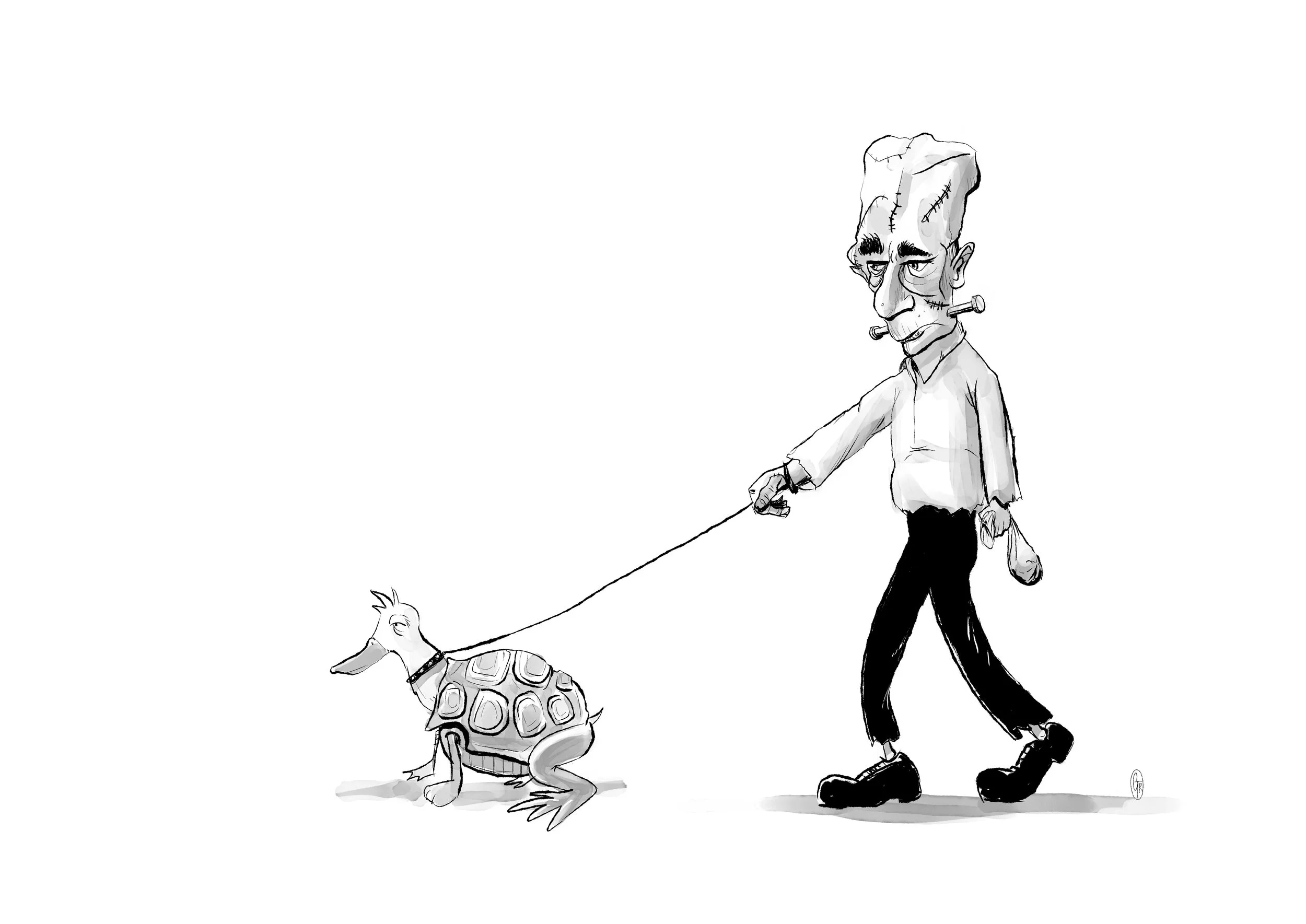 franky.jpg