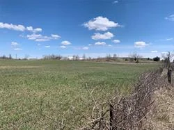 x4438891_3_250x250.jpg