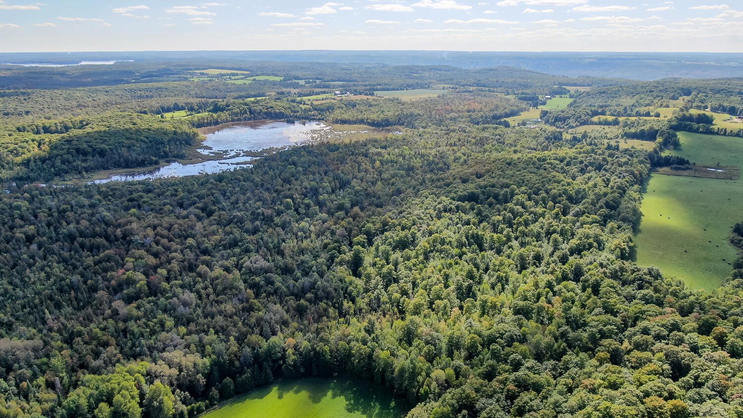 315219 3rd Line A Flesherton-large-004-006-Aerial-1500x844-72dpi.jpg