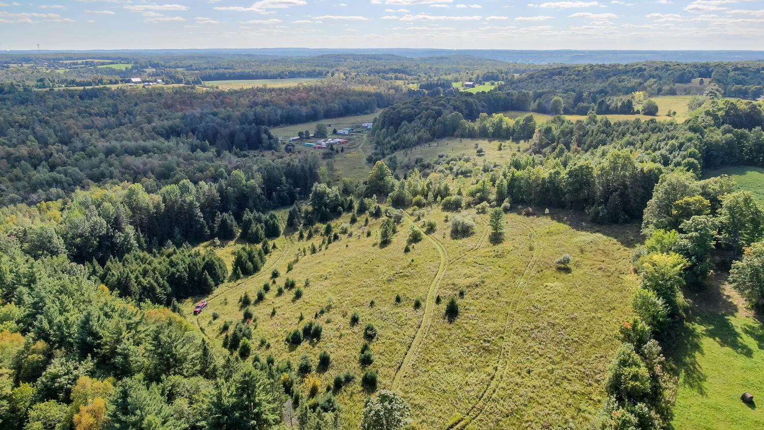 315219 3rd Line A Flesherton-large-042-045-Aerial-1500x844-72dpi.jpg