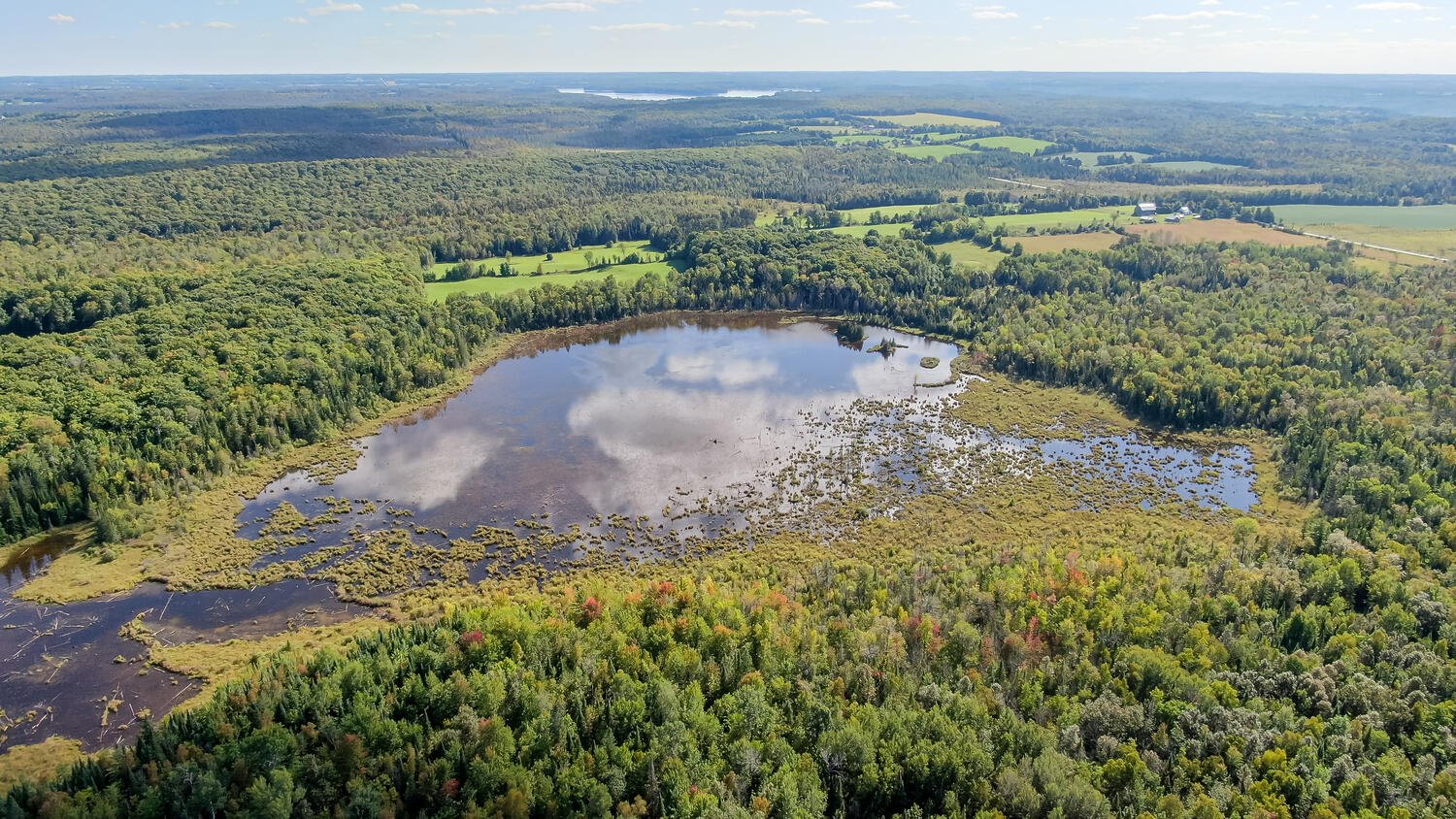 315219 3rd Line A Flesherton-large-048-053-Aerial-1500x844-72dpi.jpg