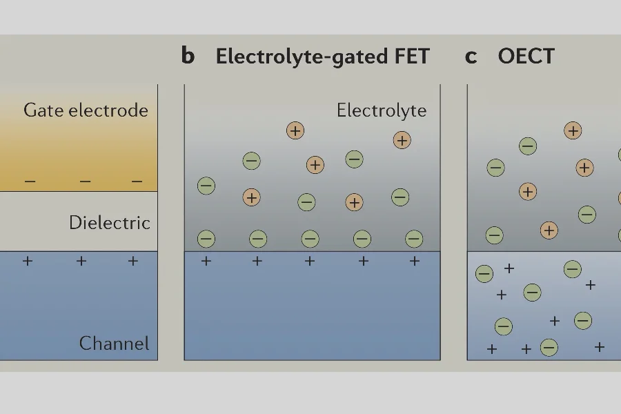 OECT review in Nature Reviews Materials