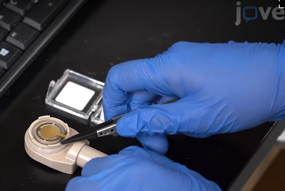 New JoVe video article led by the Shull Group and our own graduate student, Emily! 