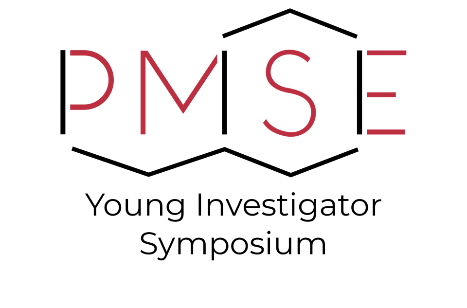 Professor Rivany was named an ACS PMSE Young Investigator!
