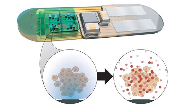 DARPA project for implantable ‘living pharmacy’ that would help regulate body’s sleep/wake cycles kicks off!