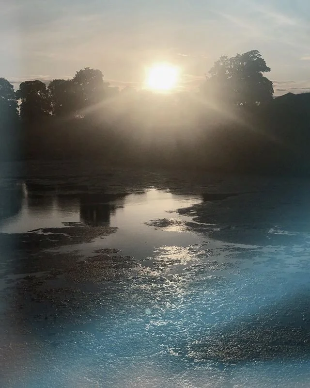 In these troubled times life beckons us to step into nature; to be what we truly are....
🖤
Inquiring into our fluid body, we harness our body&rsquo;s wisdom to respond&nbsp;to&nbsp;the global challenges around us.
🤍
Fires have raged in many parts of the world.
🖤
Fire has returned this week, setting streets and souls ablaze
🤍
Hearts are moved and go out to all who are affected by long-standing racism
🖤
May all beings everywhere be free of suffering

May all beings everywhere be happy

May all beings everywhere be free
.
.
.
.
Photo: @studiokdixon .
.
#copenhagen#k&oslash;benhavn#natur#nature#naturlig#sun#sunset#blm#sunday#s&oslash;ndag#sol#solskin#equality#equal##yoga#yogi#continuum#continuummovement#fascia#fascialrelease#meditation#workshop#movement#therapy#breathe#follow#likes#meditate#blacklivesmatterdenmark