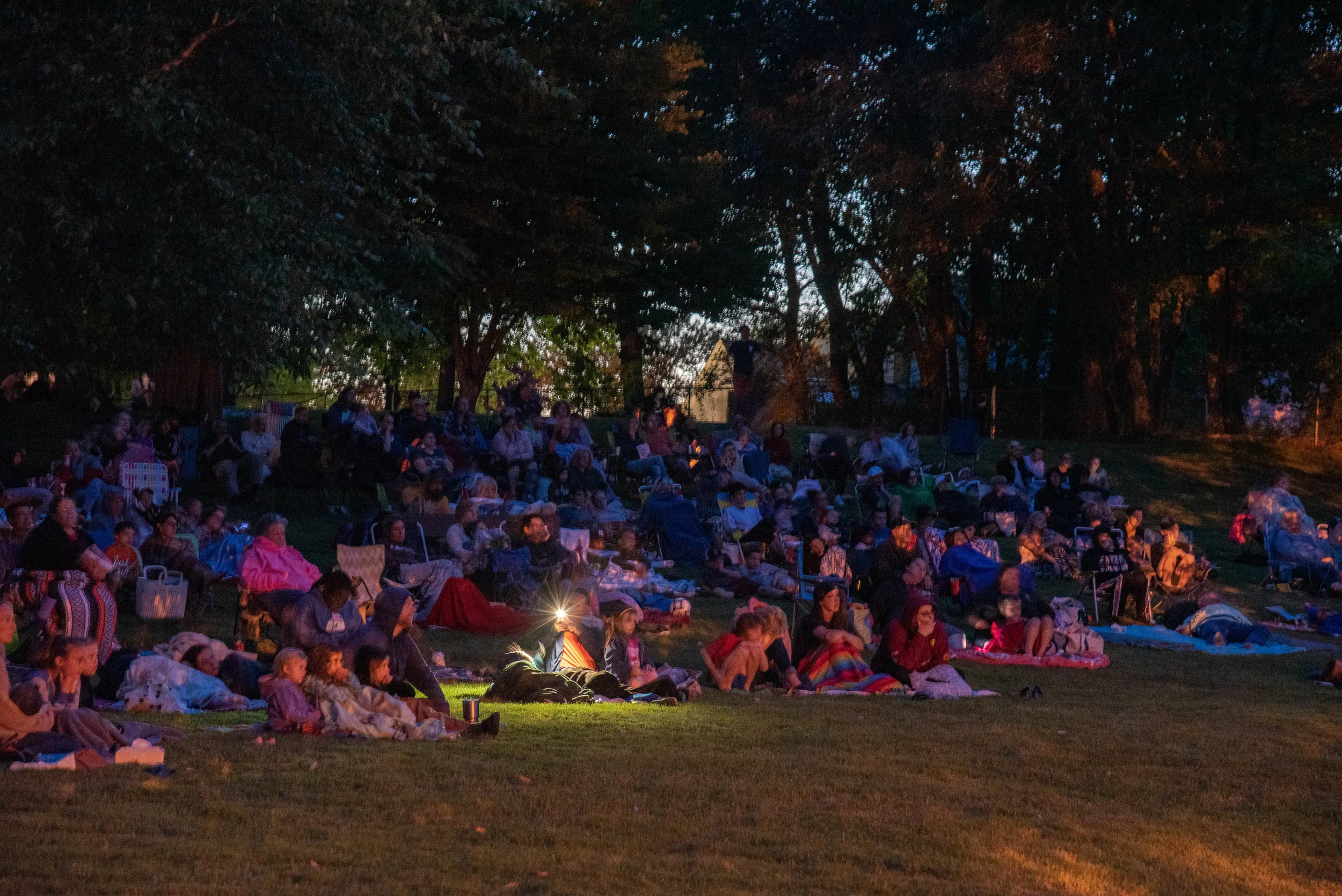 movies in davis park--Brunswick-10.jpg