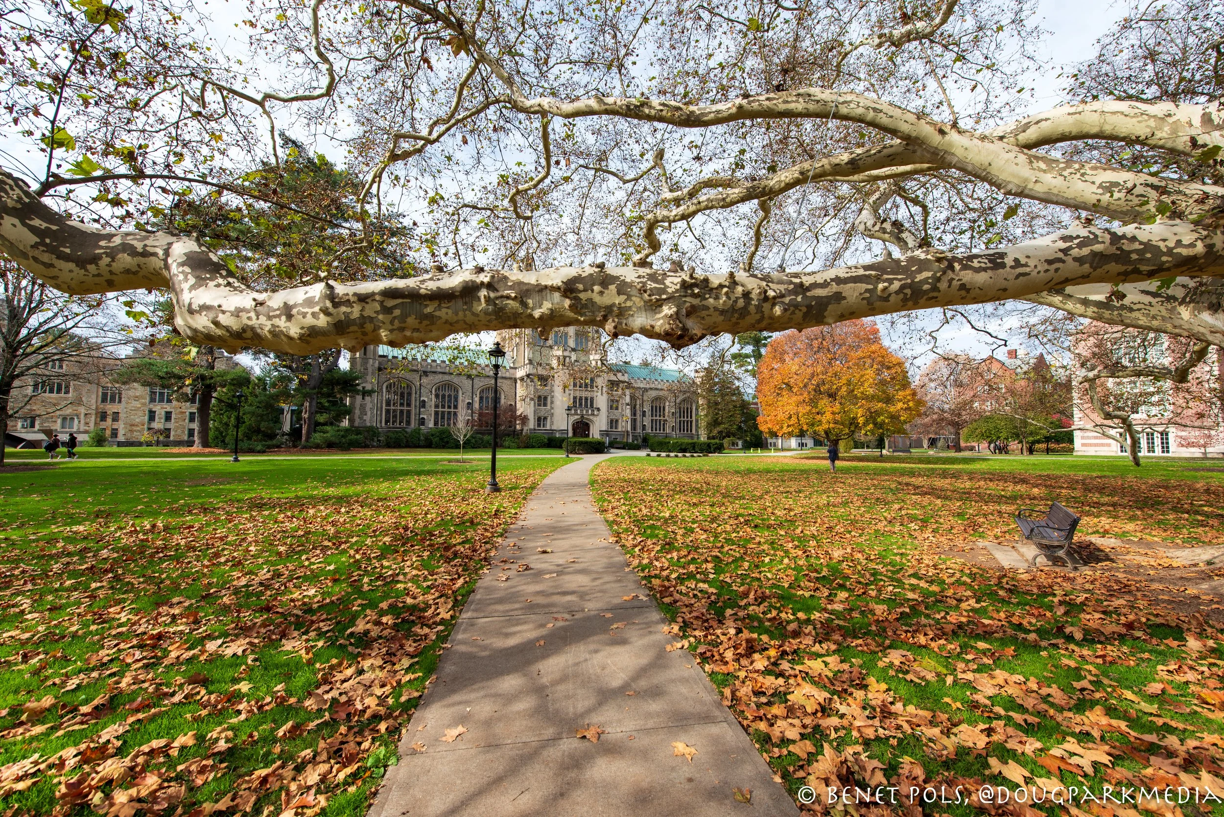 Around Vassar, Fall 2023 — Douglas Park Media