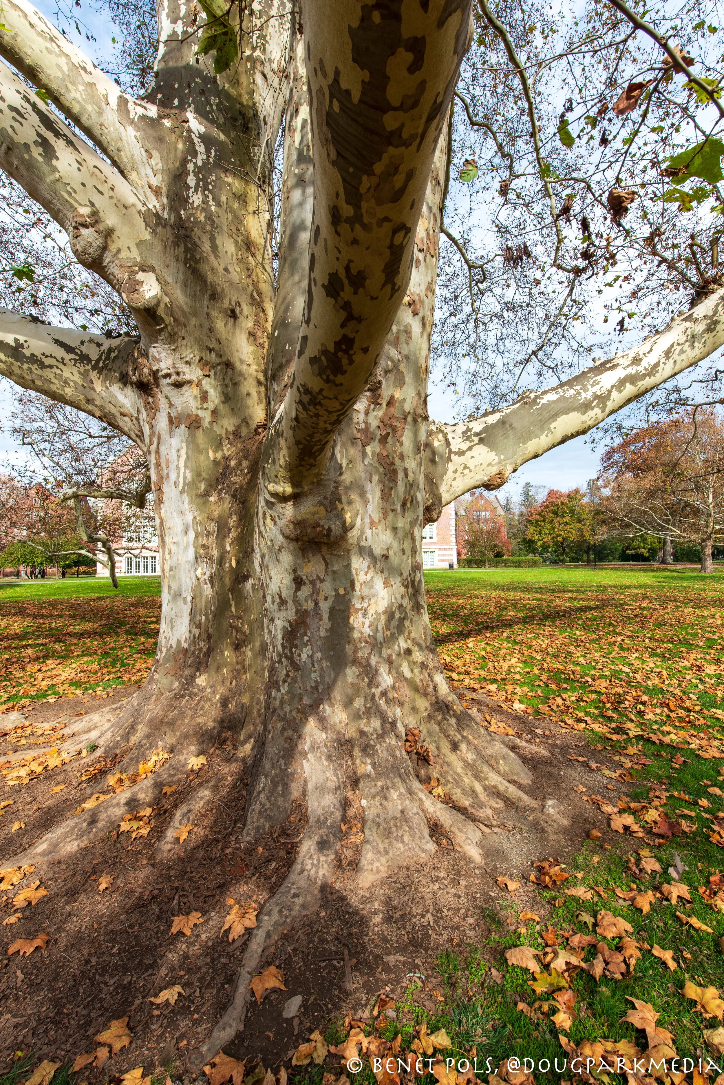 Around Vassar, Fall 2023 — Douglas Park Media
