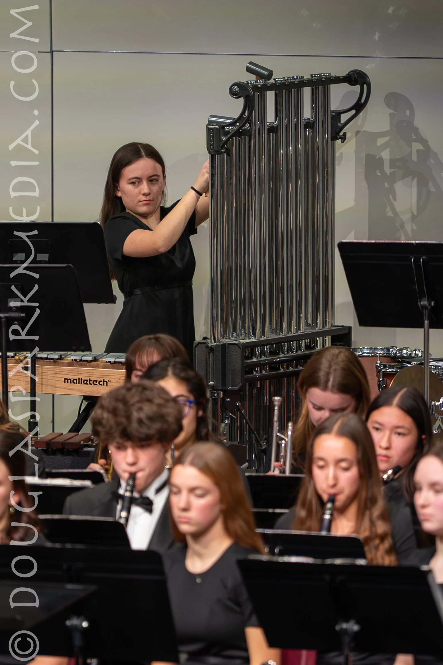 Bands Dec 2025-28.jpg