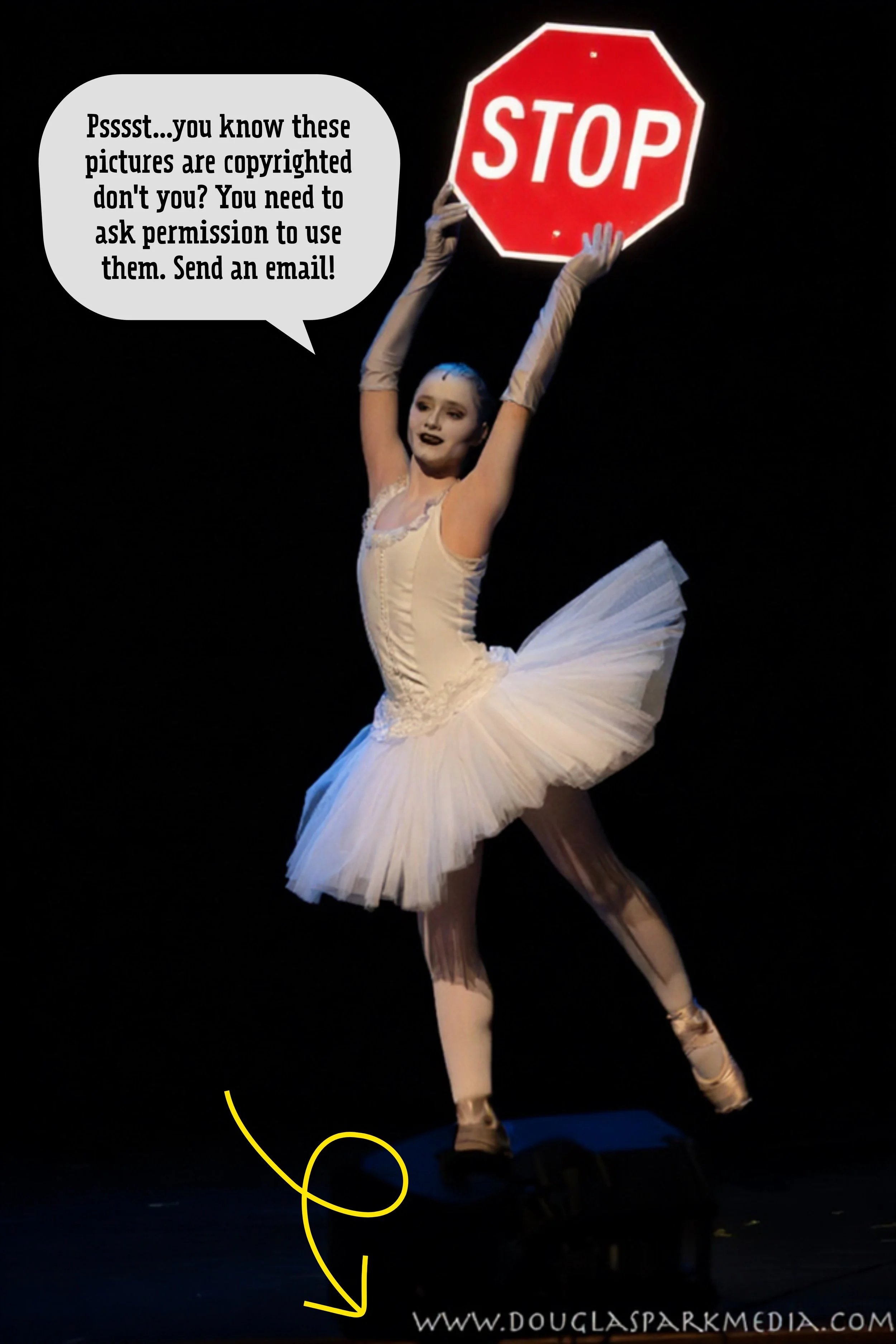 Phoebe Stop sign copyright.jpeg