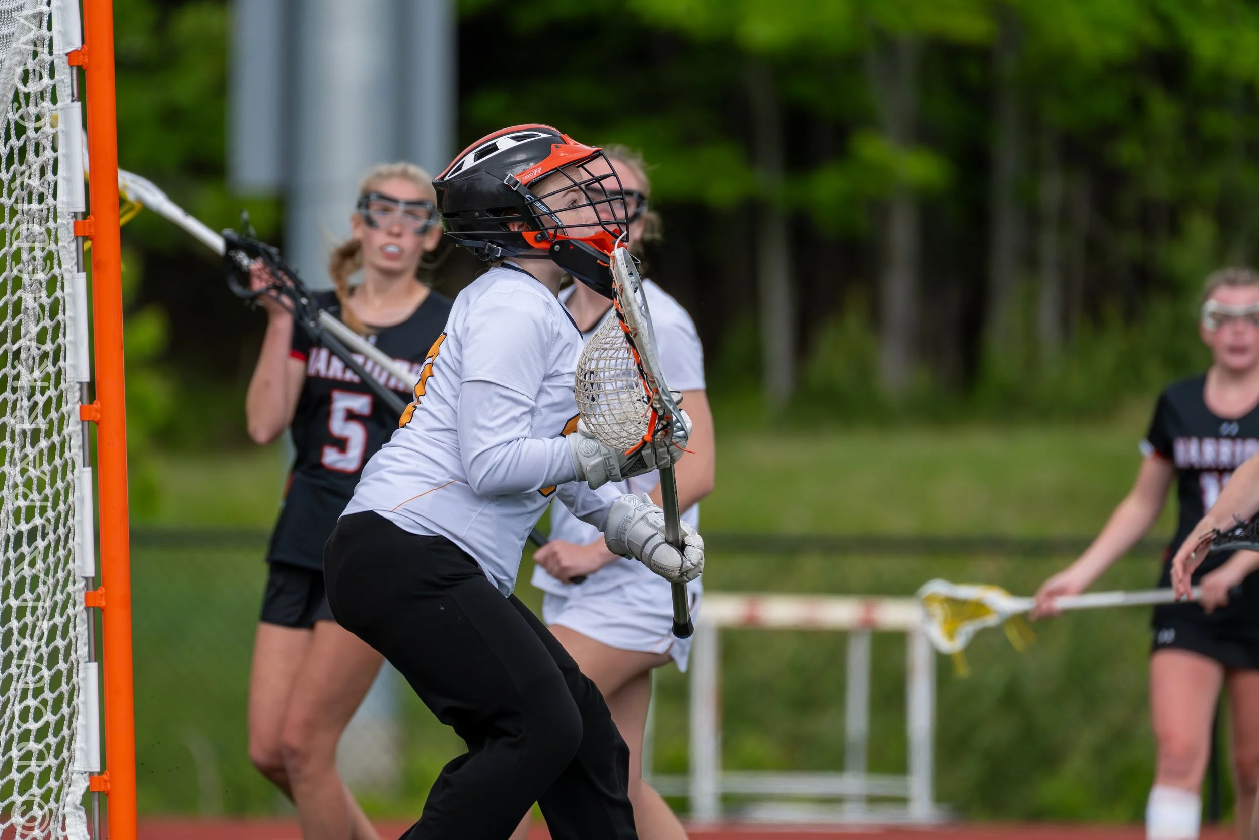 GLAX Wells-9.jpg