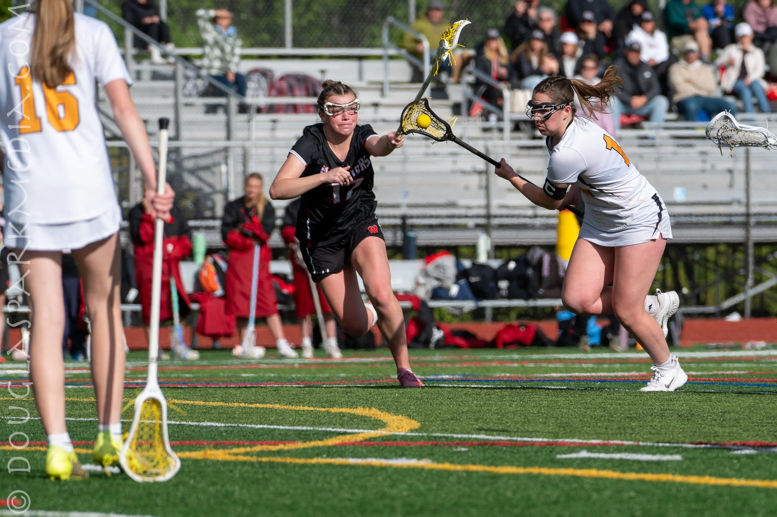GLAX Wells-26.jpg