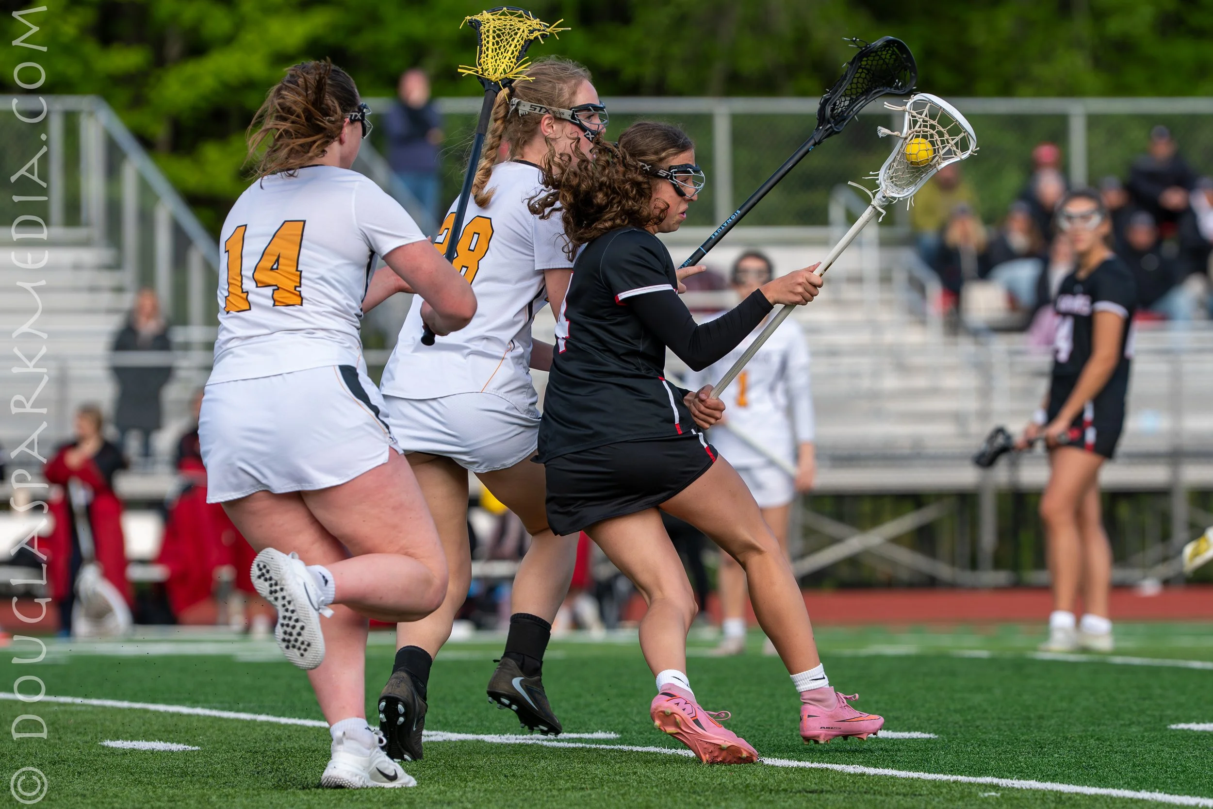 GLAX Wells-52.jpg