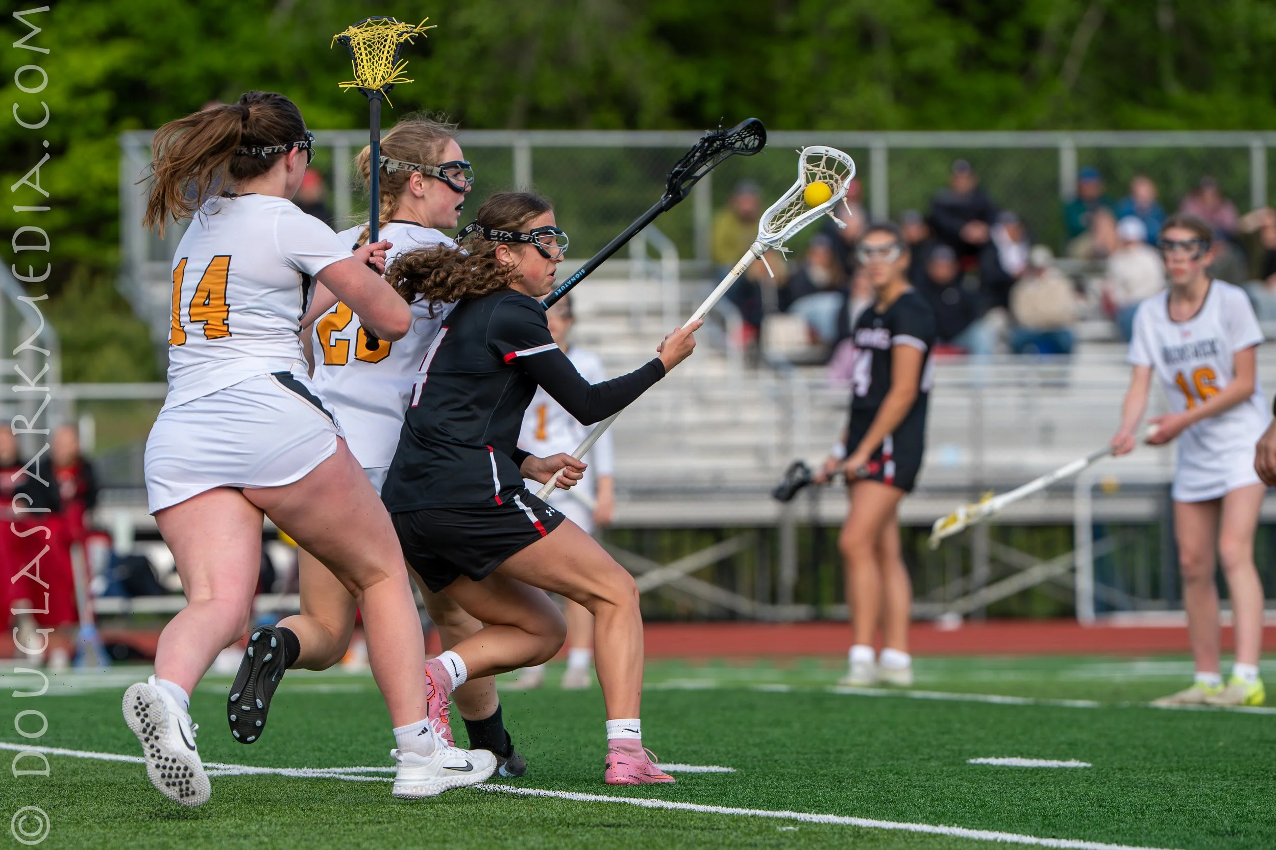 GLAX Wells-53.jpg