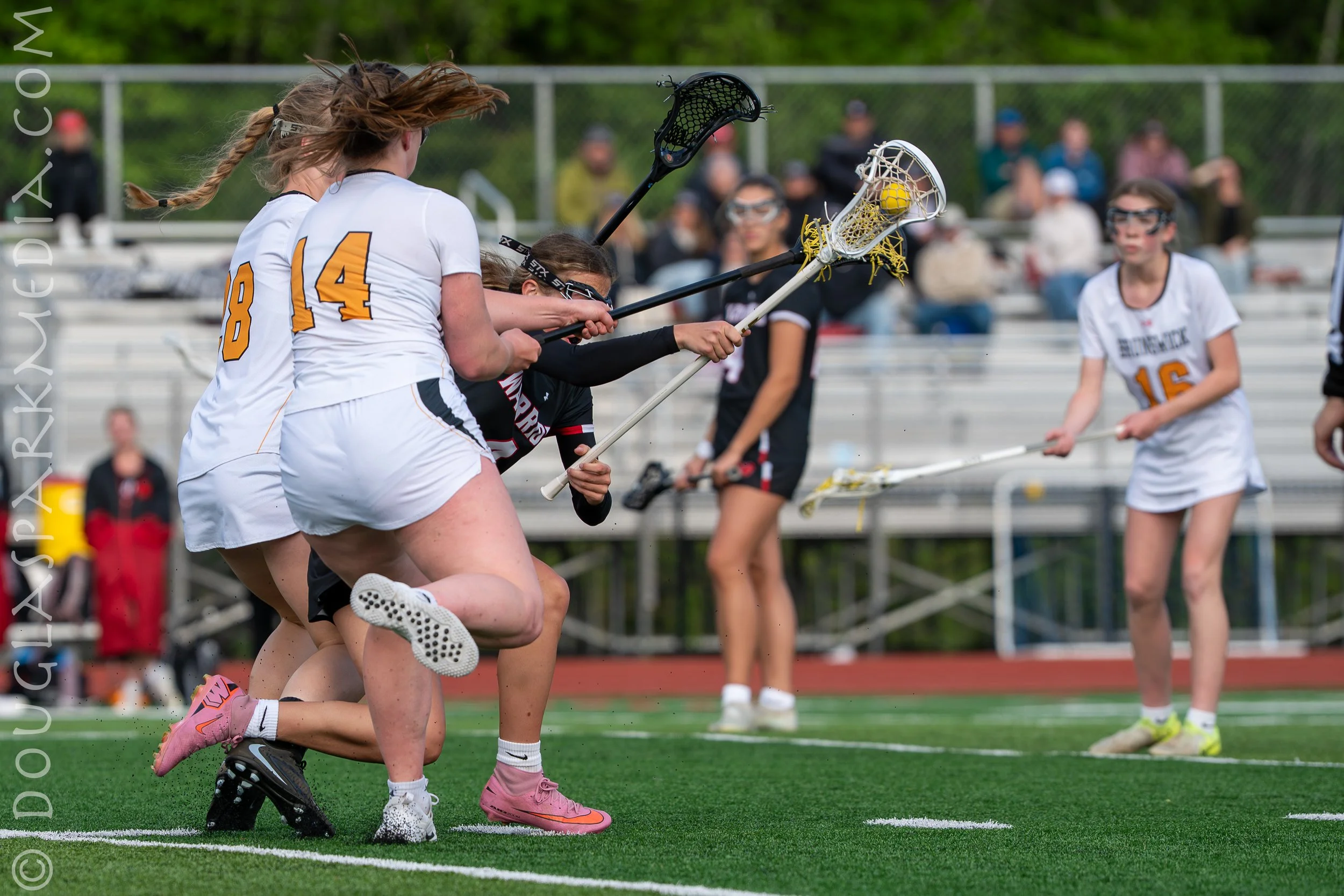 GLAX Wells-54.jpg