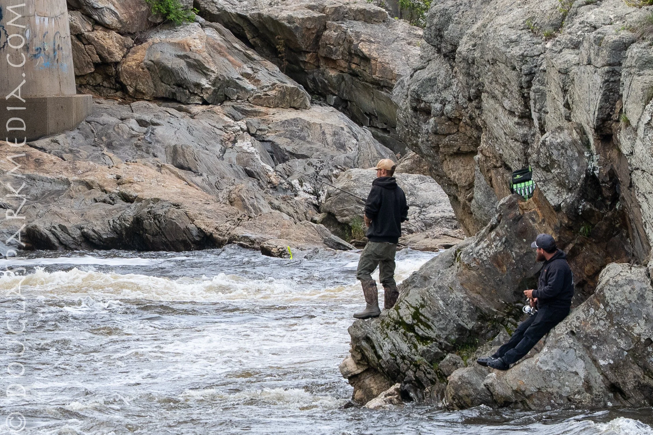 alewives-18.jpg