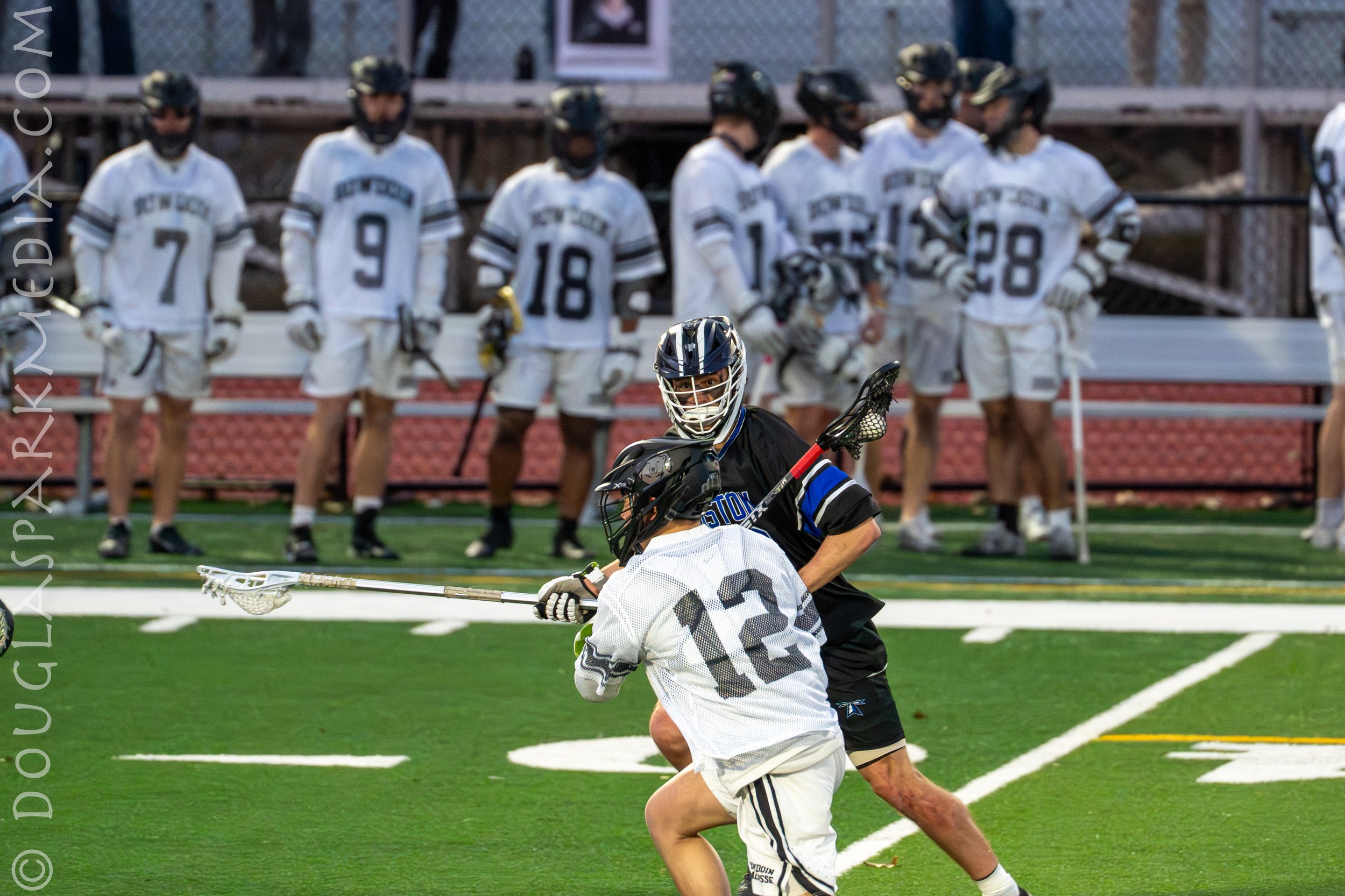 Ollie-9.jpg