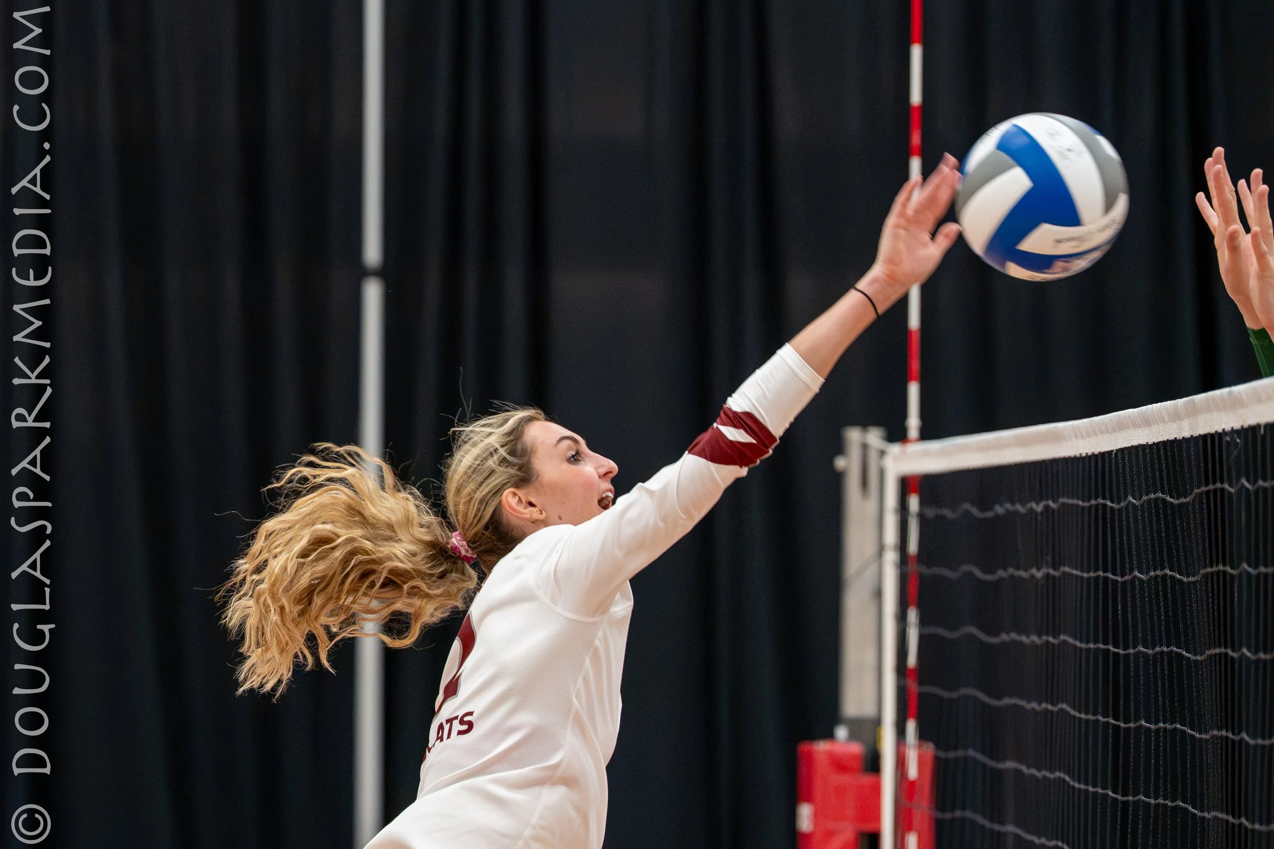 VB Nichols (7 of 31).jpg