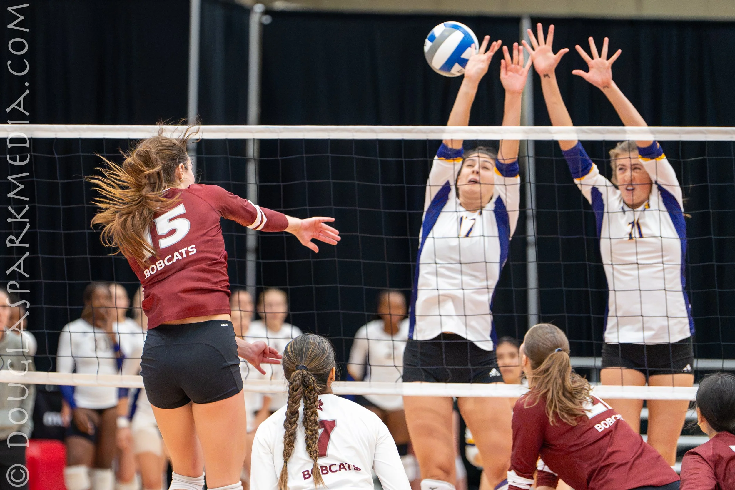 VB Williams (16 of 57).jpg