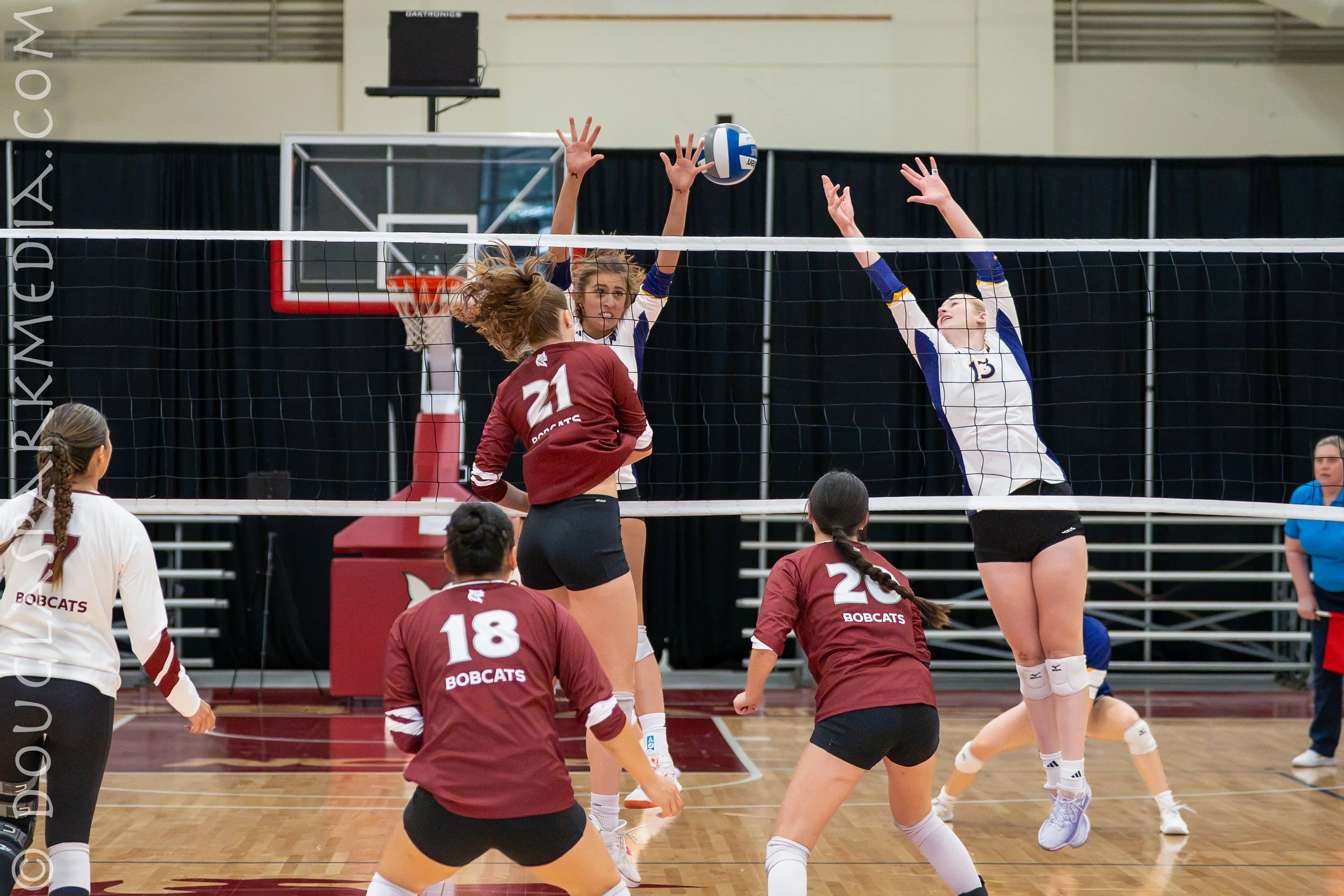VB Williams (18 of 57).jpg