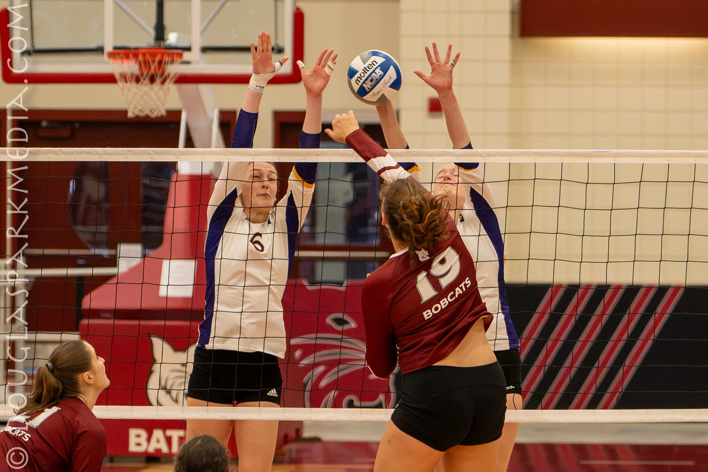 VB Williams (42 of 57).jpg