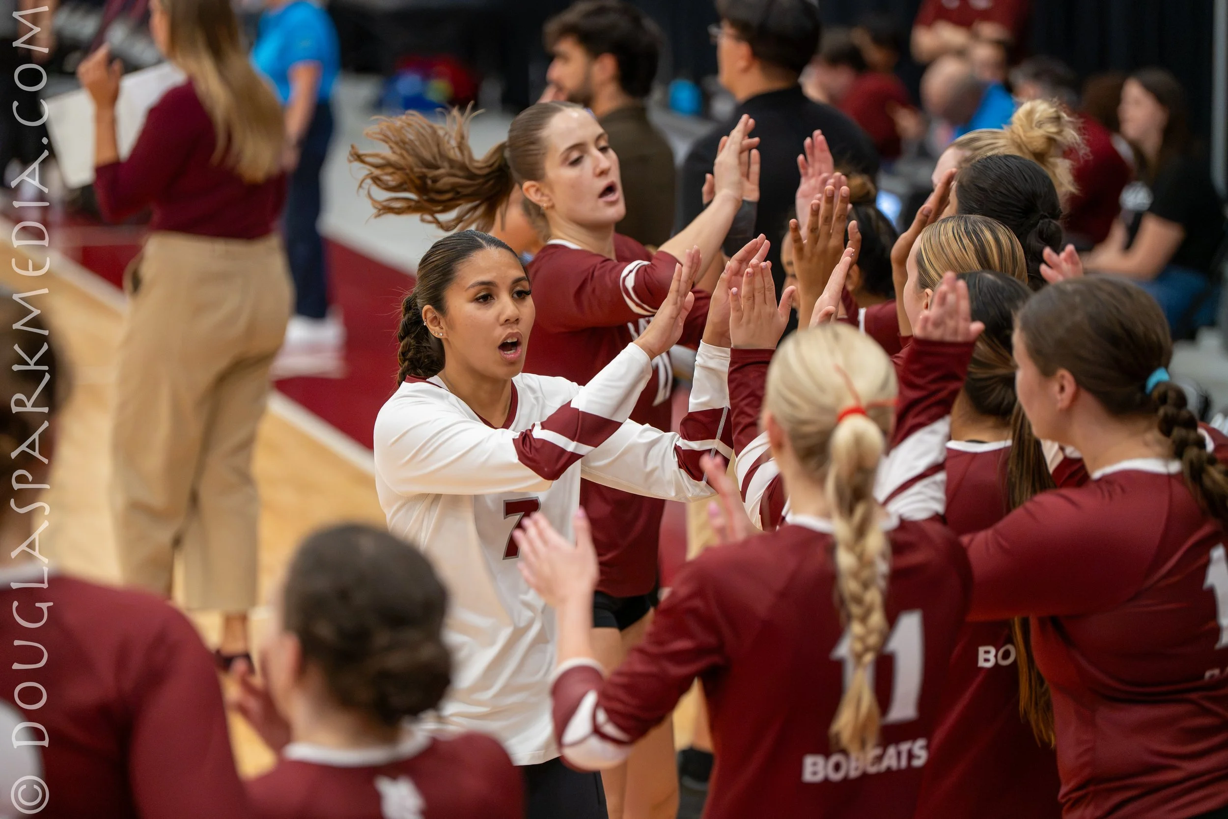 VB Williams (46 of 57).jpg