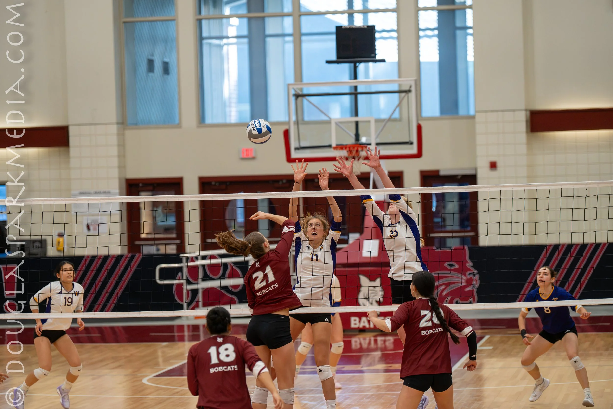 VB Williams (52 of 57).jpg