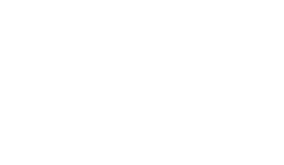 Bridge Angel Investors