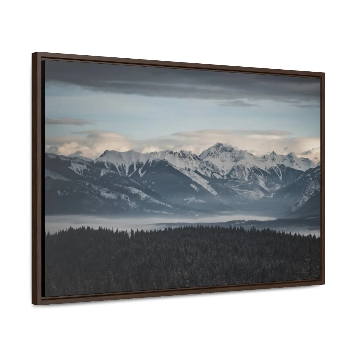 1eeaedc01630dbe5d47b15309a170bfc