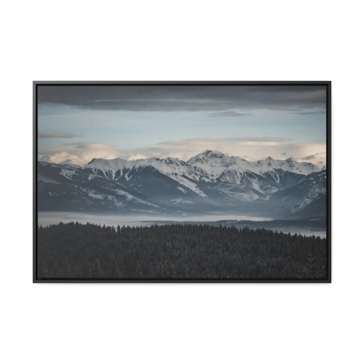 7920c4797acec8c7d3b9313c92e12337