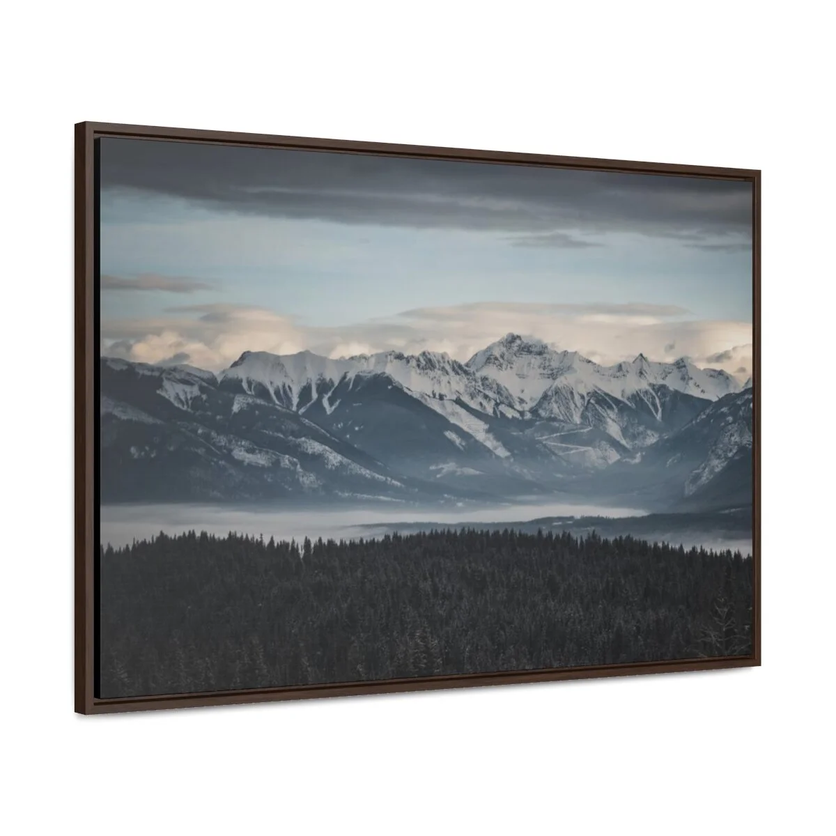 a181d1b65530cc61de6aed6a305a563d