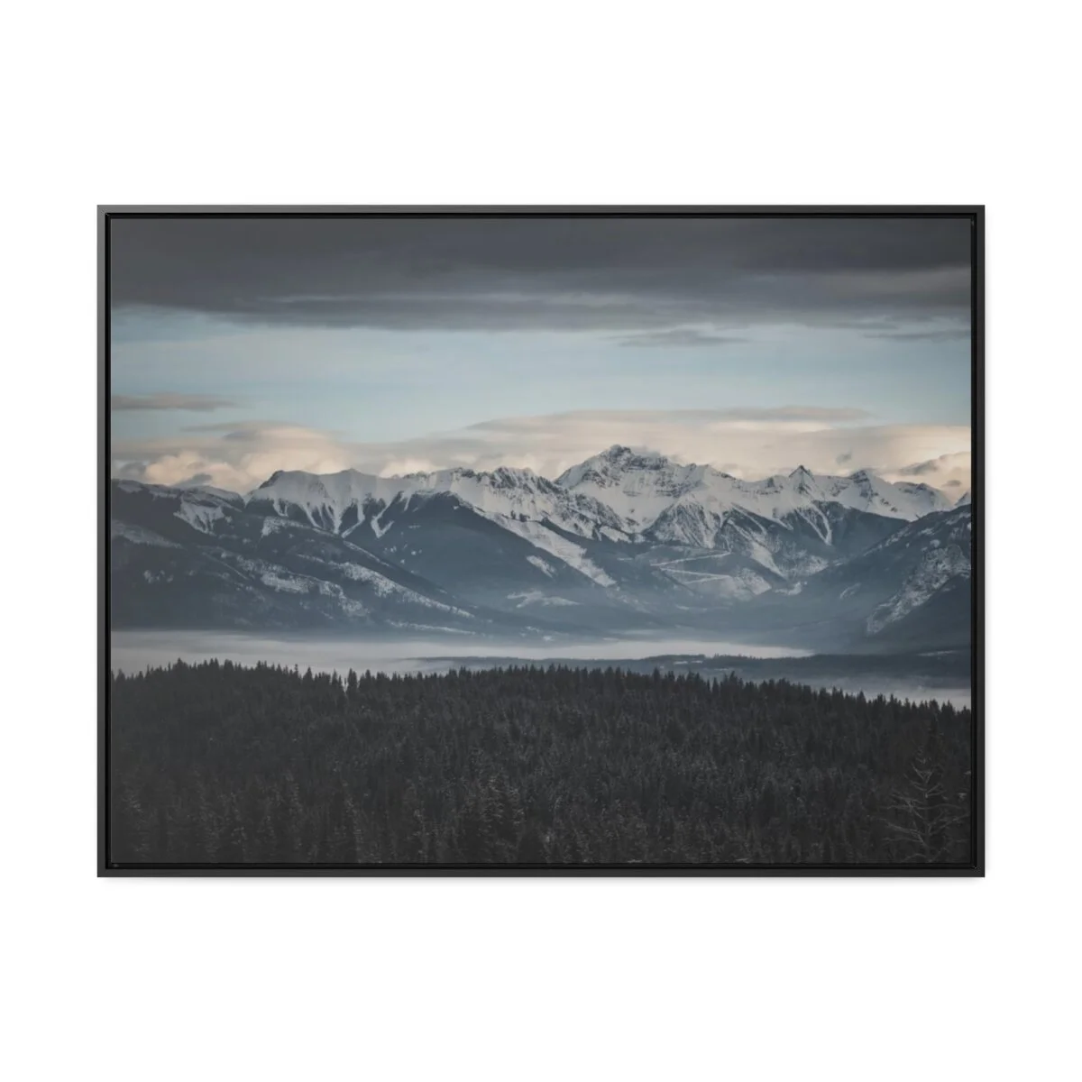 0dd18ed4d3304fbe9d5c8cb065982a1d