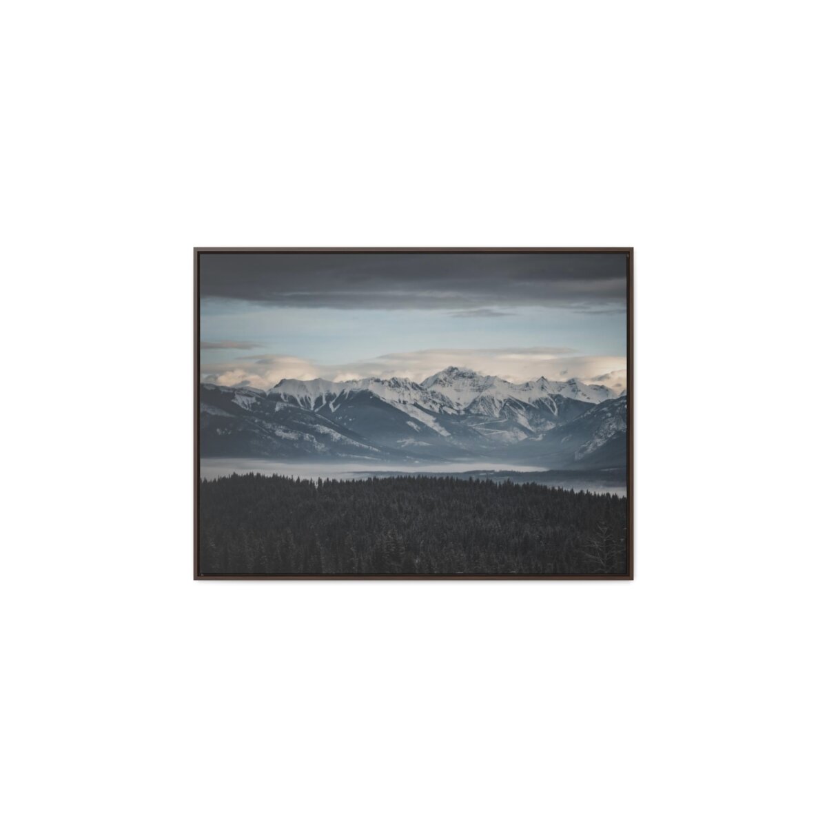 c371f51e5359e992b9891d72611b0b2a