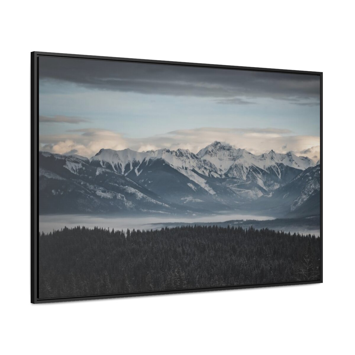 f3fa3fc03db62f4e0e9c58601f22869a