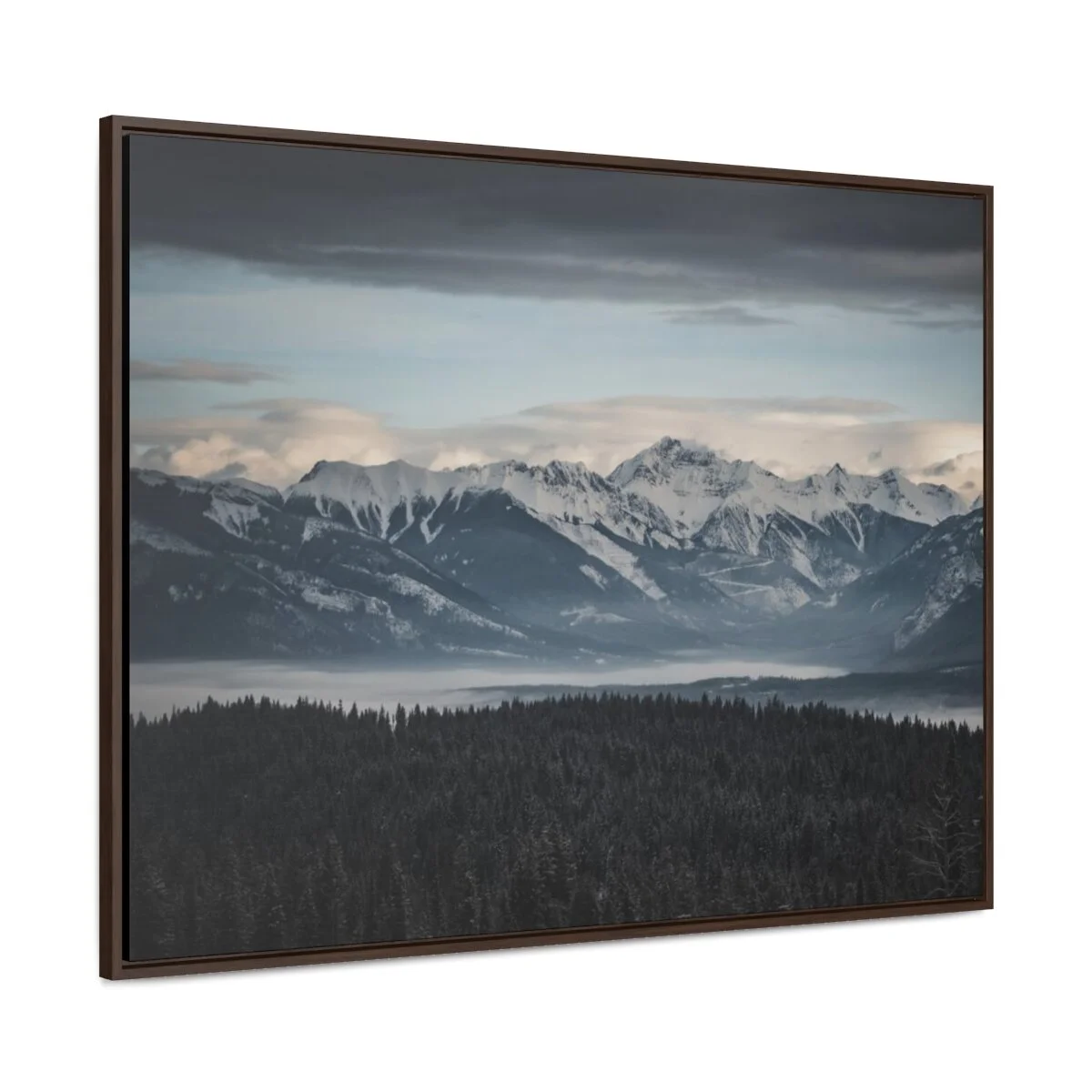 33606d0c89fff01d2d910d65cfc1e6a7