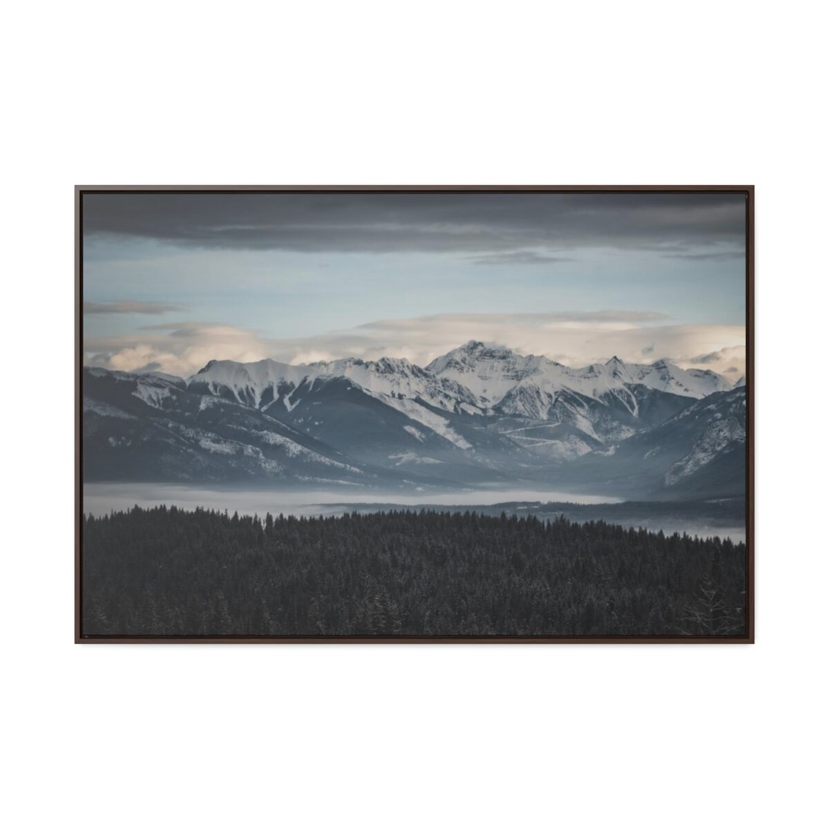 77f8619640f524c599189b0a8b646bf4