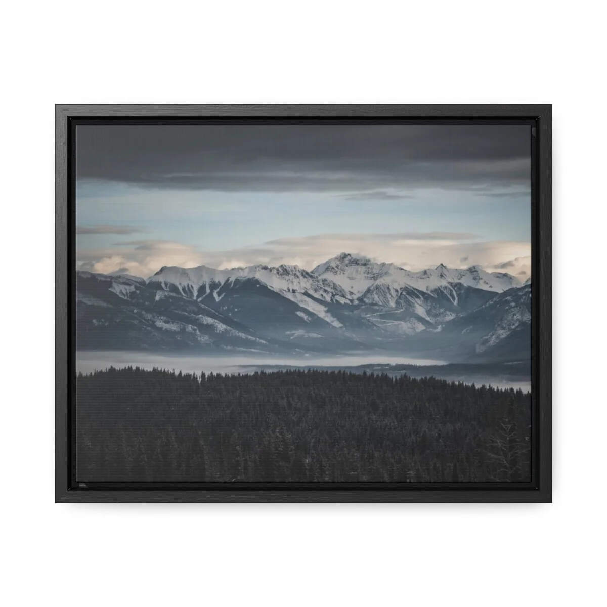 cec80fccfcb526838f8d65be65d38f92