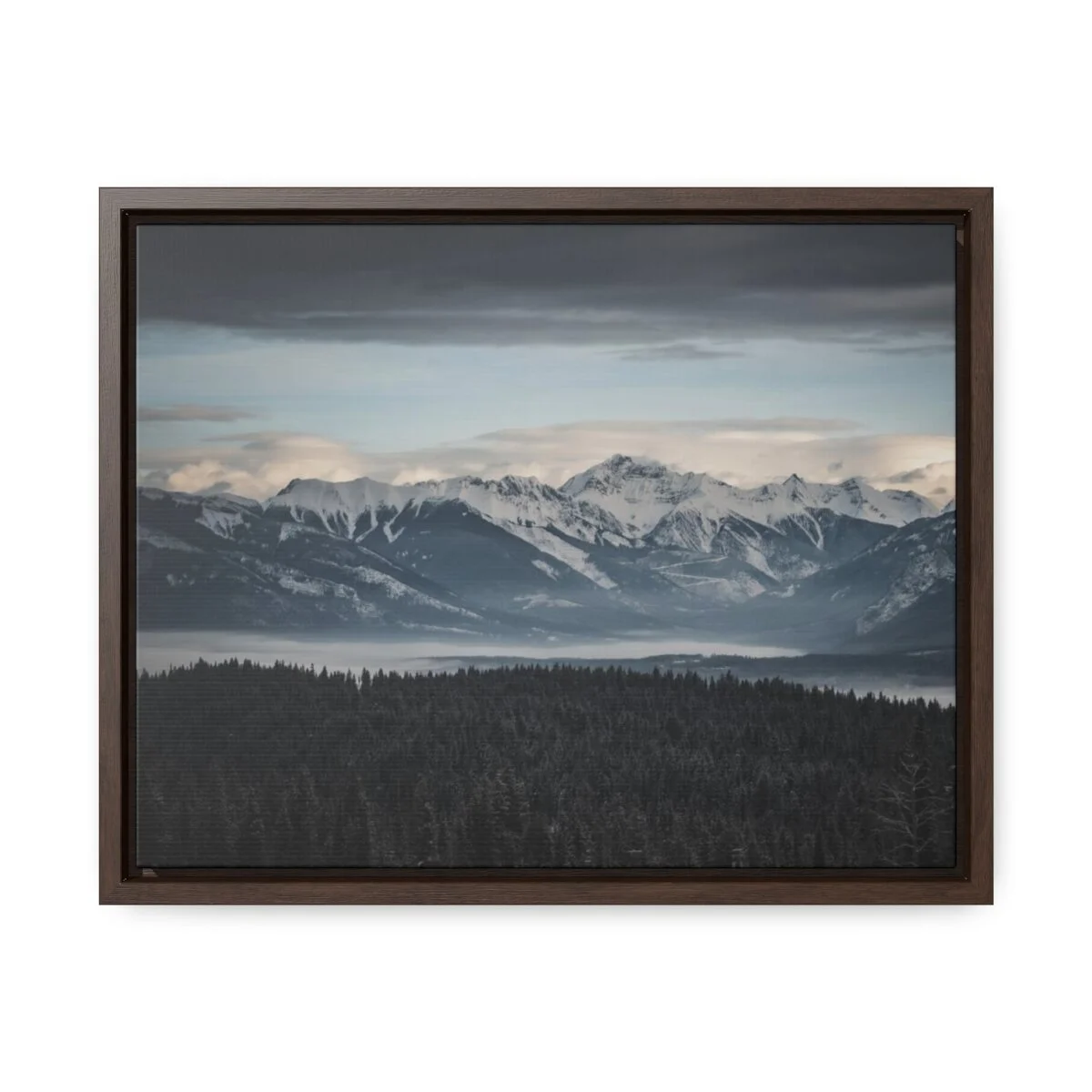 9c9b7d30a470945409662cd07eb7e256