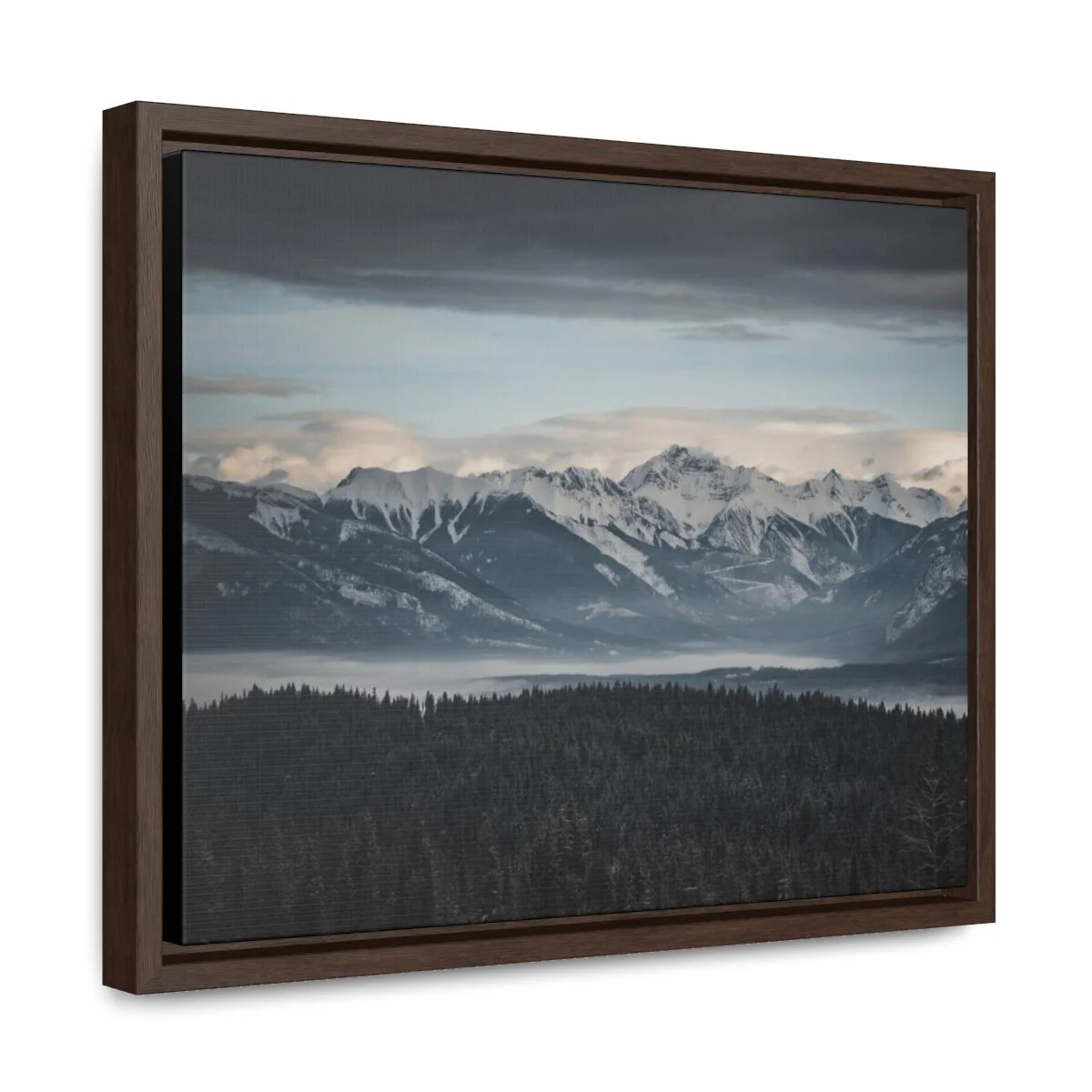 b3aeff98fdd264bd621a4c901e360a4a