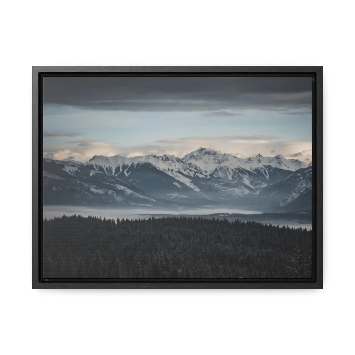 9840b9e27995ad87920fe29488fccfc2